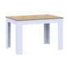 Esstisch Doros Flint Weiß / Artisan Eiche 120/170x80x78 (41510130)