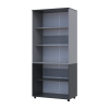 Kleiderschrank Doros Thorn Anthrazit/Grau 2 Türen Böden 90x51,6x200 (44900472)