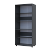 Kleiderschrank Doros Thorn Anthrazit 2 Türen Böden 90x51,6x200 (44900444)