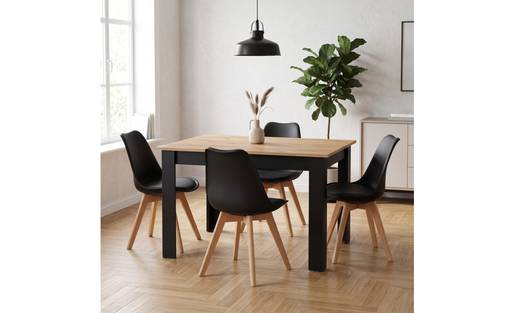 Essgruppe: Tisch NP 120x80 Craft / Schwarz + 4 Stühle MARK Schwarz (100408194)