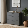 Kommode Doros Thorn Anthrazit 3 Schubladen 90x51,6x80 (41510161)