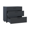 Kommode Doros Thorn Anthrazit 3 Schubladen 90x51,6x80 (41510161)