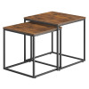 Couchtisch 2er-Set quadratisch Rustikal/Schwarz (10028051)
