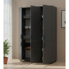 Kleiderschrank Doros Thorn Anthrazit 3 Türen Böden 135x51,6x200 (44900492)