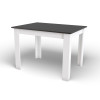 Tisch NP 120x80 Schwarz + Weiß (100154071)