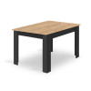 Tisch NP 120x80 Artisan Eiche + Schwarz (100155031)