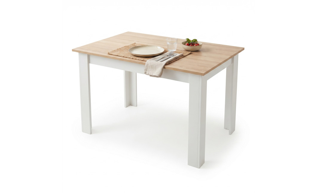 Tisch NP 120x80 Sonoma Eiche + Weiß (100153871)